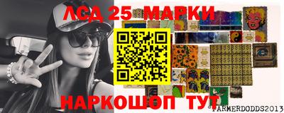 гашик Можга
