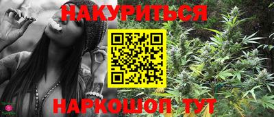 гашик Можга