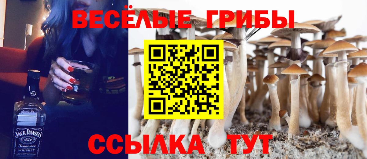Псилоцибиновые грибы мицелий Чехов