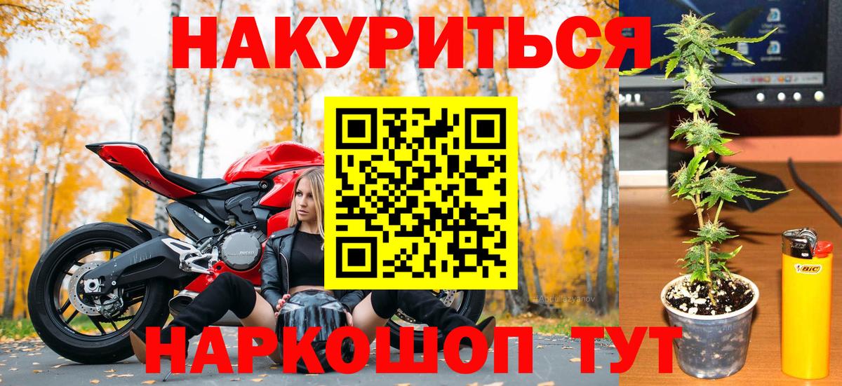 Шишки марихуана сатива Чехов